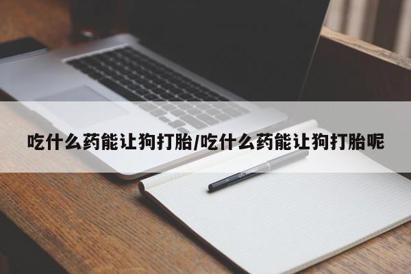 息隐紫竹打胎药流产药吃什么药能让狗打胎/吃什么药能让狗打胎呢