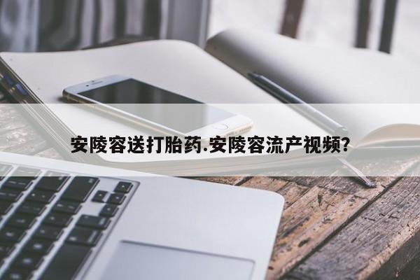 息隐紫竹打胎药流产药安陵容送打胎药.安陵容流产视频？