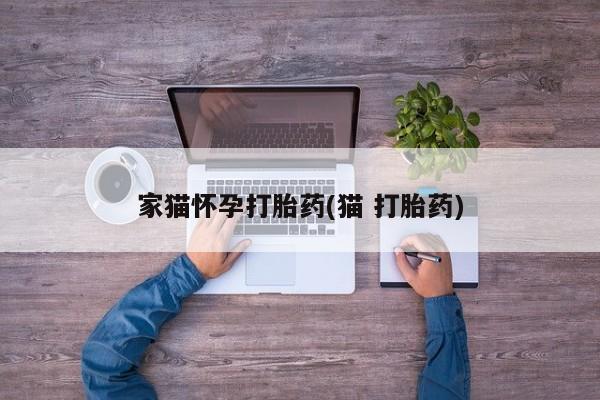 息隐紫竹打胎药流产药家猫怀孕打胎药(猫 打胎药)